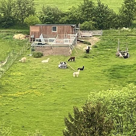 Gemuetliche 3-Zimmer-Wohnung Mit Panoramablick Und Kostenlosem Ueberdachten Parkplatz Winterberg Dış mekan fotoğraf