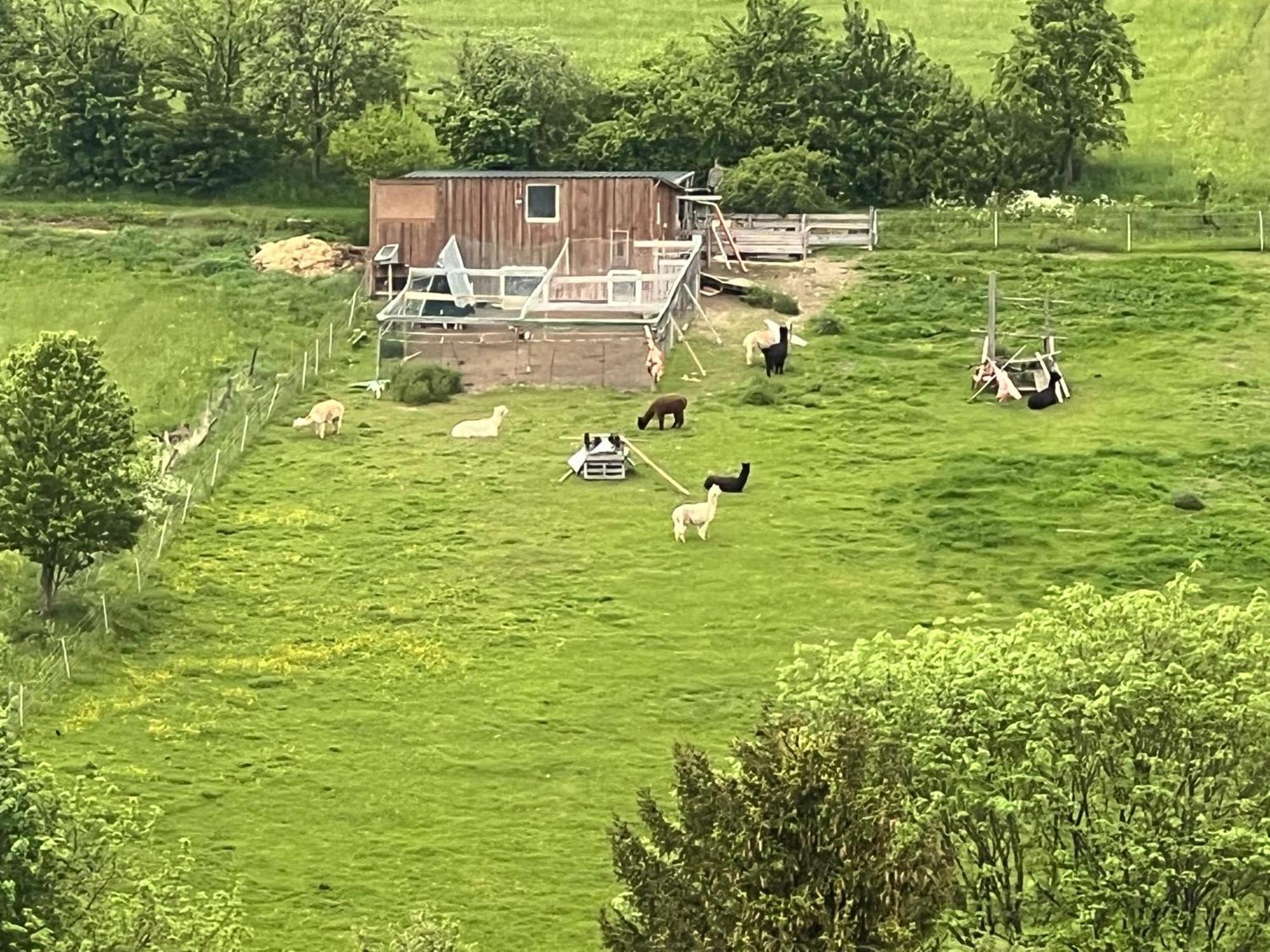 Gemuetliche 3-Zimmer-Wohnung Mit Panoramablick Und Kostenlosem Ueberdachten Parkplatz Winterberg Dış mekan fotoğraf
